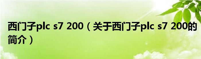 西門(mén)子plc s7 200（關(guān)于西門(mén)子plc s7 200的簡(jiǎn)介）