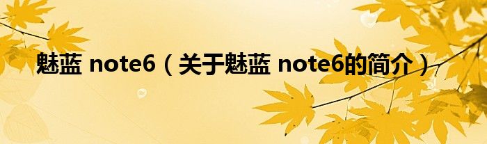 魅藍(lán) note6（關(guān)于魅藍(lán) note6的簡(jiǎn)介）