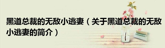 黑道總裁的無敵小逃妻（關(guān)于黑道總裁的無敵小逃妻的簡(jiǎn)介）