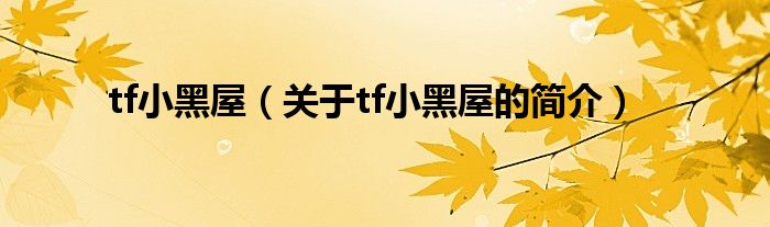 tf小黑屋（關于tf小黑屋的簡介）