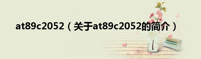 at89c2052（關(guān)于at89c2052的簡介）