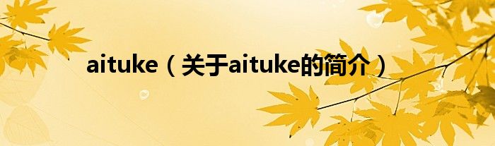 aituke（關于aituke的簡介）
