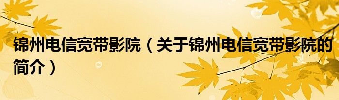 錦州電信寬帶影院（關(guān)于錦州電信寬帶影院的簡(jiǎn)介）