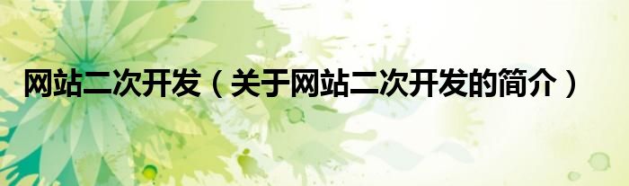網(wǎng)站二次開發(fā)（關(guān)于網(wǎng)站二次開發(fā)的簡(jiǎn)介）