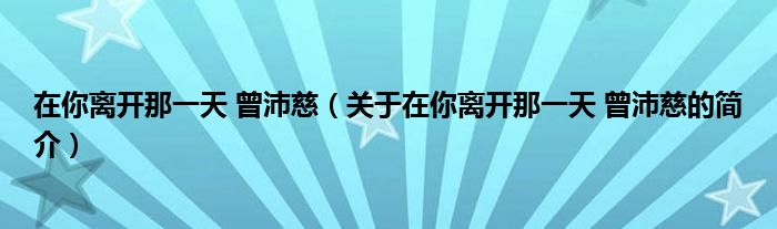 在你離開那一天 曾沛慈（關(guān)于在你離開那一天 曾沛慈的簡介）