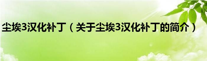 塵埃3漢化補?。P于塵埃3漢化補丁的簡介）