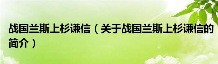 戰(zhàn)國(guó)蘭斯上杉謙信（關(guān)于戰(zhàn)國(guó)蘭斯上杉謙信的簡(jiǎn)介）
