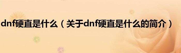 dnf硬直是什么（關于dnf硬直是什么的簡介）