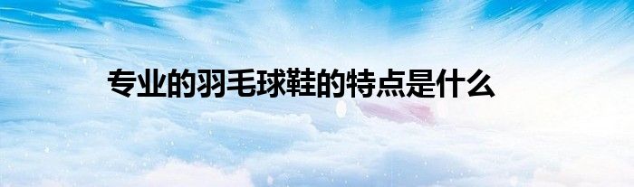 專(zhuān)業(yè)的羽毛球鞋的特點(diǎn)是什么