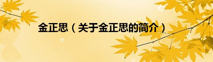 金正思（關(guān)于金正思的簡(jiǎn)介）