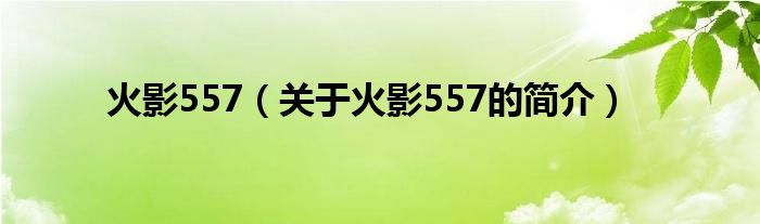 火影557（關于火影557的簡介）