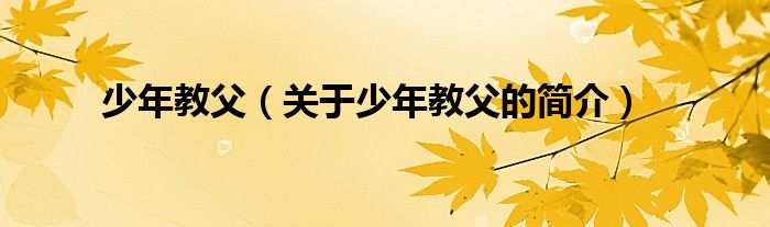 少年教父（關(guān)于少年教父的簡(jiǎn)介）