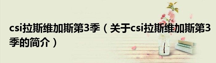 csi拉斯維加斯第3季（關于csi拉斯維加斯第3季的簡介）