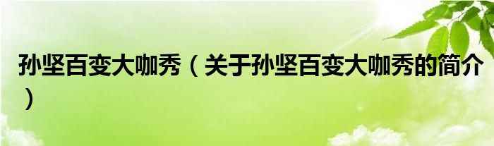 孫堅(jiān)百變大咖秀（關(guān)于孫堅(jiān)百變大咖秀的簡(jiǎn)介）