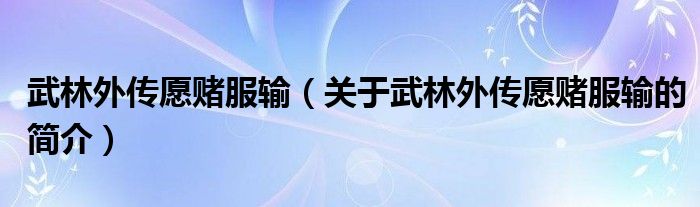 武林外傳愿賭服輸（關于武林外傳愿賭服輸的簡介）