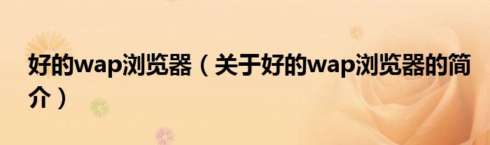 好的wap瀏覽器（關于好的wap瀏覽器的簡介）