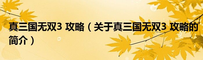 真三國(guó)無雙3 攻略（關(guān)于真三國(guó)無雙3 攻略的簡(jiǎn)介）