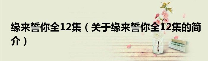 緣來(lái)誓你全12集（關(guān)于緣來(lái)誓你全12集的簡(jiǎn)介）