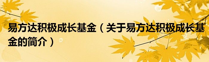易方達積極成長基金（關于易方達積極成長基金的簡介）