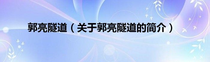 郭亮隧道（關于郭亮隧道的簡介）