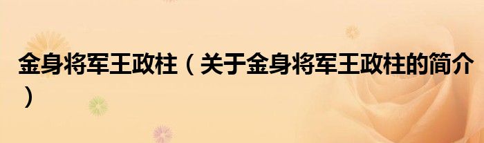 金身將軍王政柱（關(guān)于金身將軍王政柱的簡介）