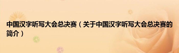 中國漢字聽寫大會(huì)總決賽（關(guān)于中國漢字聽寫大會(huì)總決賽的簡介）