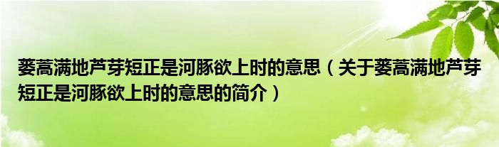 蔞蒿滿地蘆芽短正是河豚欲上時(shí)的意思（關(guān)于蔞蒿滿地蘆芽短正是河豚欲上時(shí)的意思的簡(jiǎn)介）