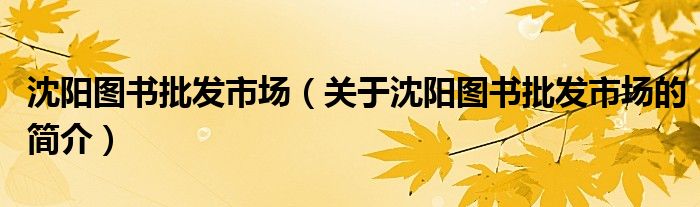 沈陽圖書批發(fā)市場(chǎng)（關(guān)于沈陽圖書批發(fā)市場(chǎng)的簡介）