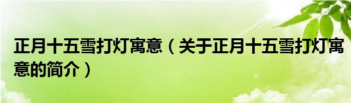 正月十五雪打燈寓意（關于正月十五雪打燈寓意的簡介）