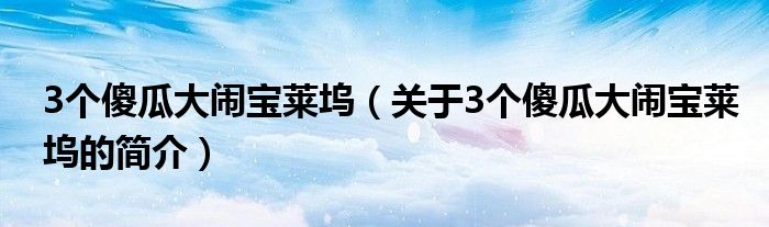 3個傻瓜大鬧寶萊塢（關于3個傻瓜大鬧寶萊塢的簡介）