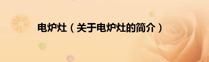電爐灶（關(guān)于電爐灶的簡(jiǎn)介）