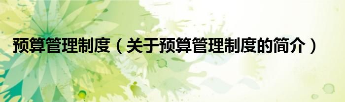 預(yù)算管理制度（關(guān)于預(yù)算管理制度的簡(jiǎn)介）