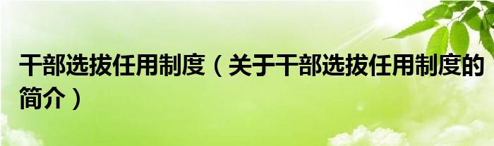 干部選拔任用制度（關(guān)于干部選拔任用制度的簡(jiǎn)介）