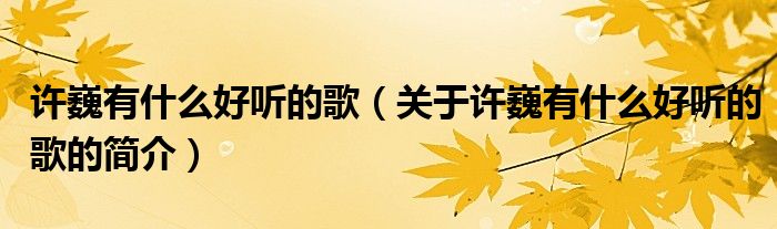 許巍有什么好聽(tīng)的歌（關(guān)于許巍有什么好聽(tīng)的歌的簡(jiǎn)介）
