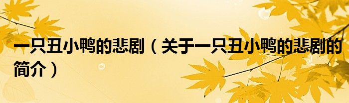 一只丑小鴨的悲?。P(guān)于一只丑小鴨的悲劇的簡(jiǎn)介）