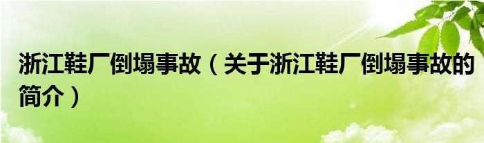 浙江鞋廠倒塌事故（關于浙江鞋廠倒塌事故的簡介）