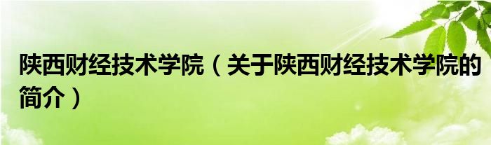 陜西財經(jīng)技術(shù)學(xué)院（關(guān)于陜西財經(jīng)技術(shù)學(xué)院的簡介）