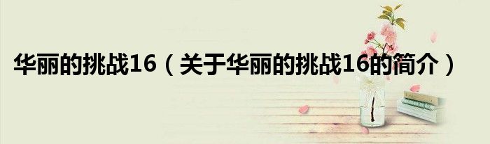 華麗的挑戰(zhàn)16（關于華麗的挑戰(zhàn)16的簡介）
