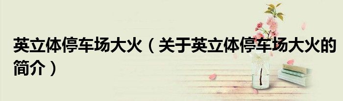 英立體停車場大火（關于英立體停車場大火的簡介）