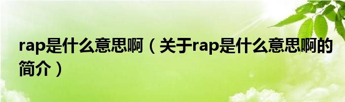 rap是什么意思?。P(guān)于rap是什么意思啊的簡介）