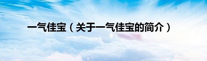 一氣佳寶（關于一氣佳寶的簡介）