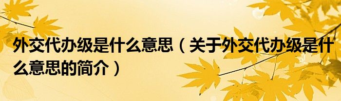 外交代辦級(jí)是什么意思（關(guān)于外交代辦級(jí)是什么意思的簡介）