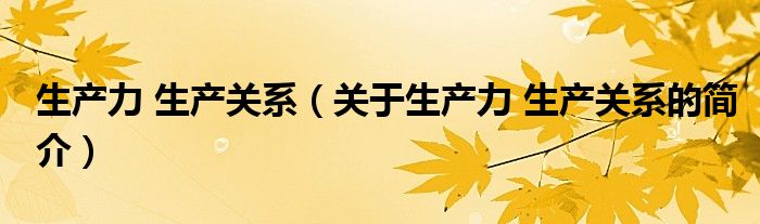 生產(chǎn)力 生產(chǎn)關系（關于生產(chǎn)力 生產(chǎn)關系的簡介）