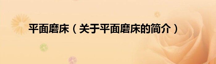 平面磨床（關(guān)于平面磨床的簡(jiǎn)介）