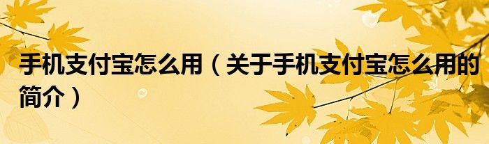 手機支付寶怎么用（關于手機支付寶怎么用的簡介）