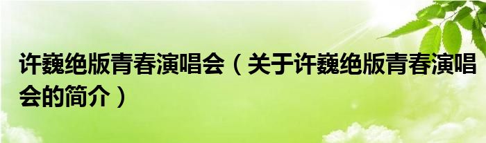 許巍絕版青春演唱會（關于許巍絕版青春演唱會的簡介）