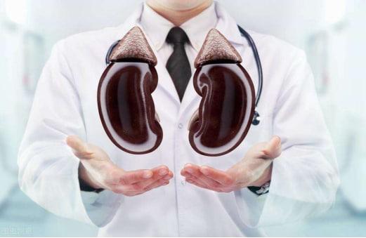 如何有效強腰補腎？