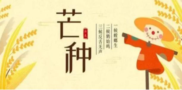 關(guān)于芒種節(jié)氣的養(yǎng)生不能忽視那些疾??？