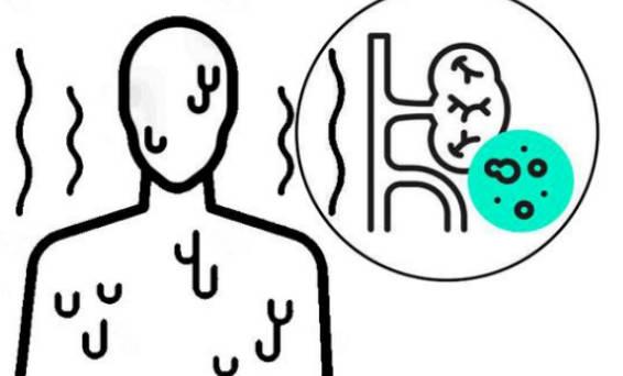 腎病患者日常該怎樣保??？