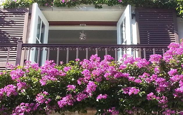 怎樣在陽(yáng)臺(tái)上養(yǎng)好花？